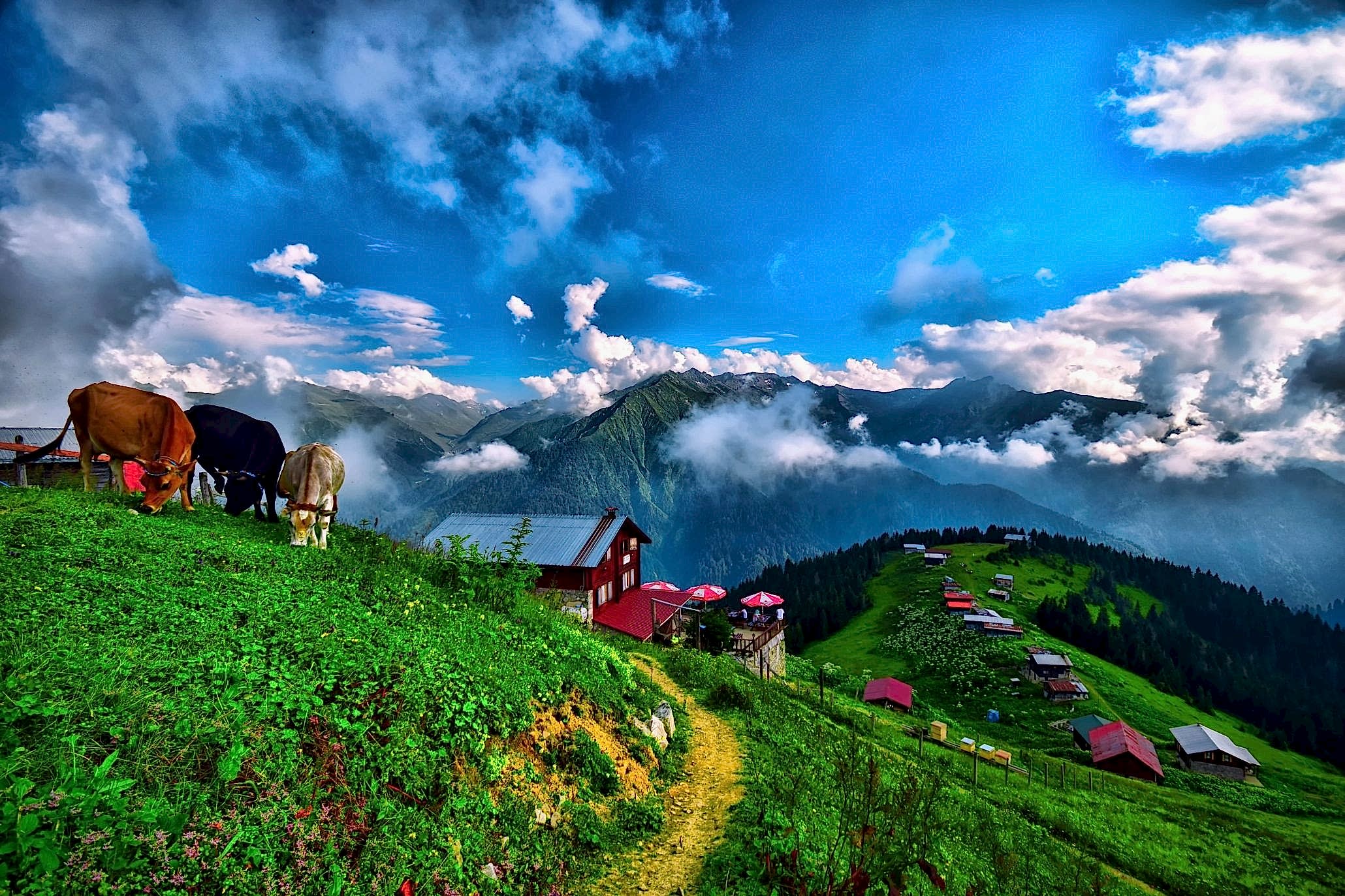Karadeniz Turu: Doğanın ve Tarihin İç İçe Olduğu Eşsiz Bir Yolculuk