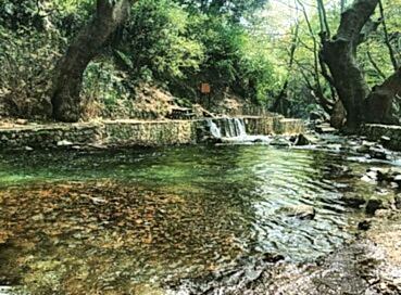 KURBAN BAYRAMINA ÖZEL KAZDAĞLARI  CUNDA TURU