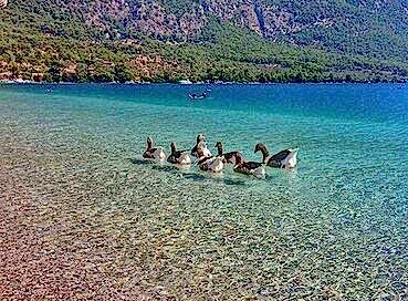 MARMARİS DATÇA DALYAN TURU