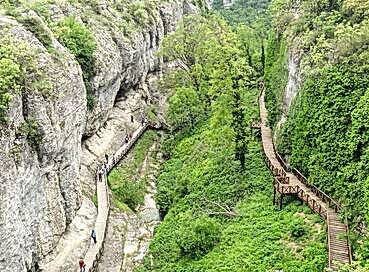 RAKI BALIK AMASRA